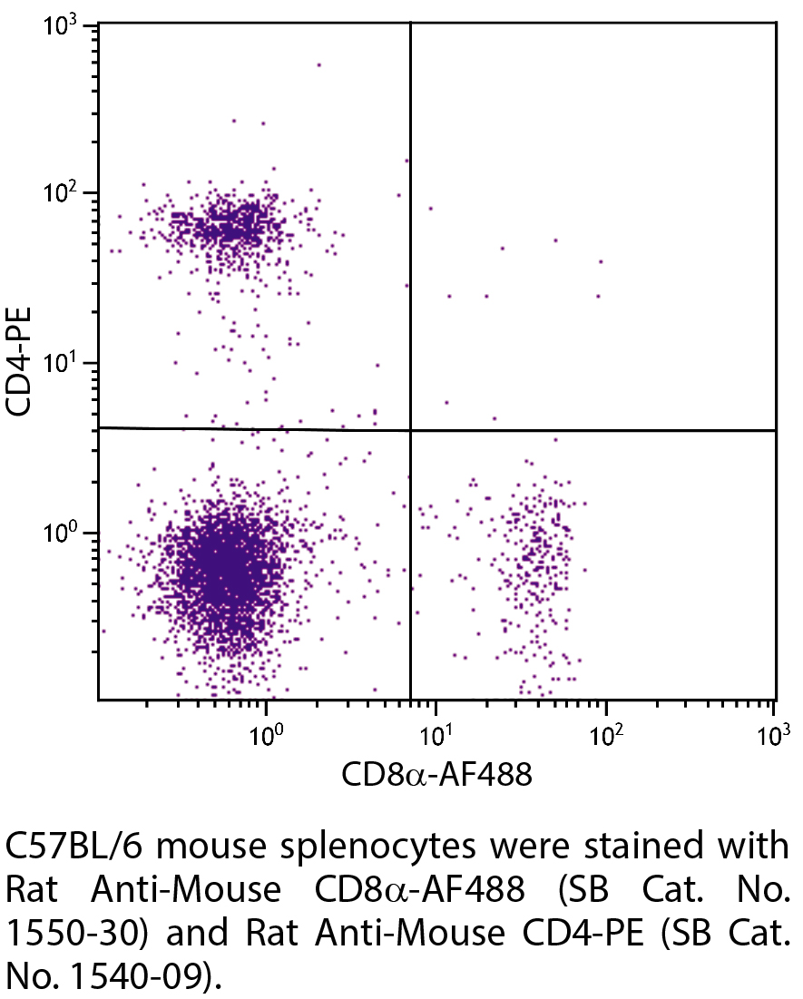 Rat Anti-Mouse CD8α-AF488 - 0.1 mg