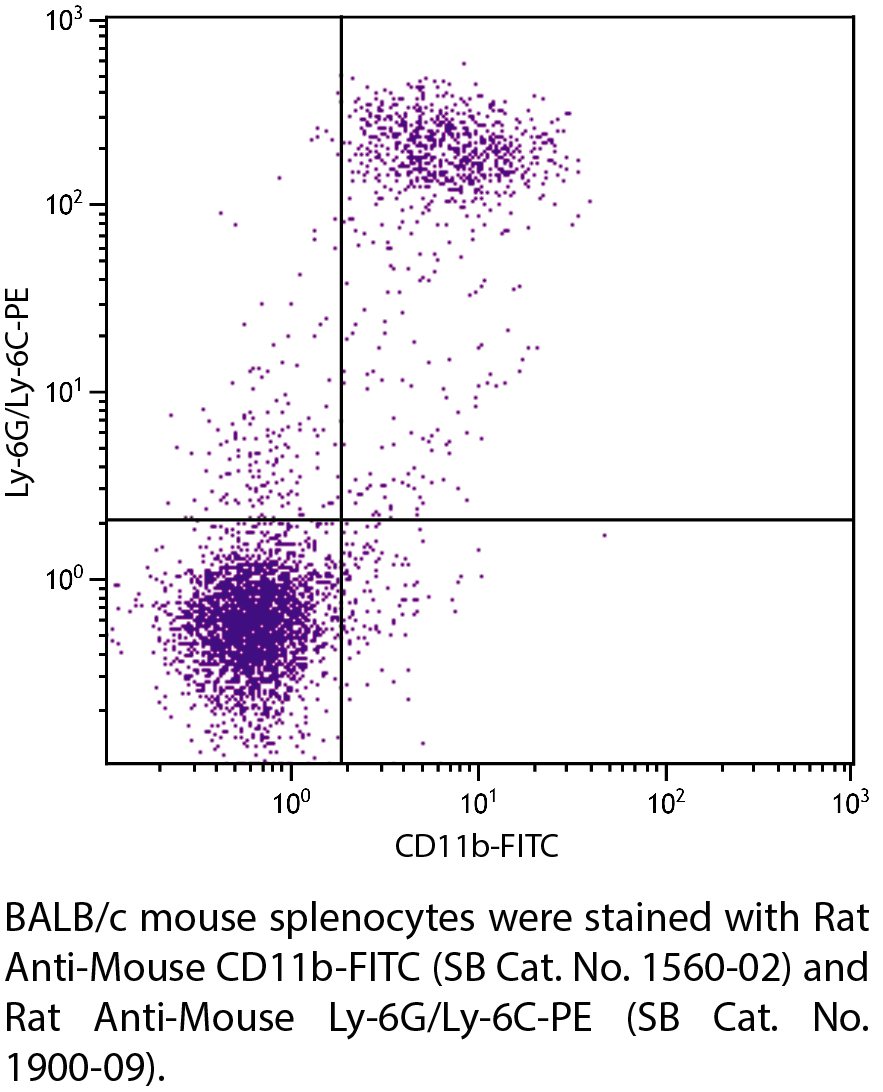 Rat Anti-Mouse CD11b-FITC - 0.5 mg