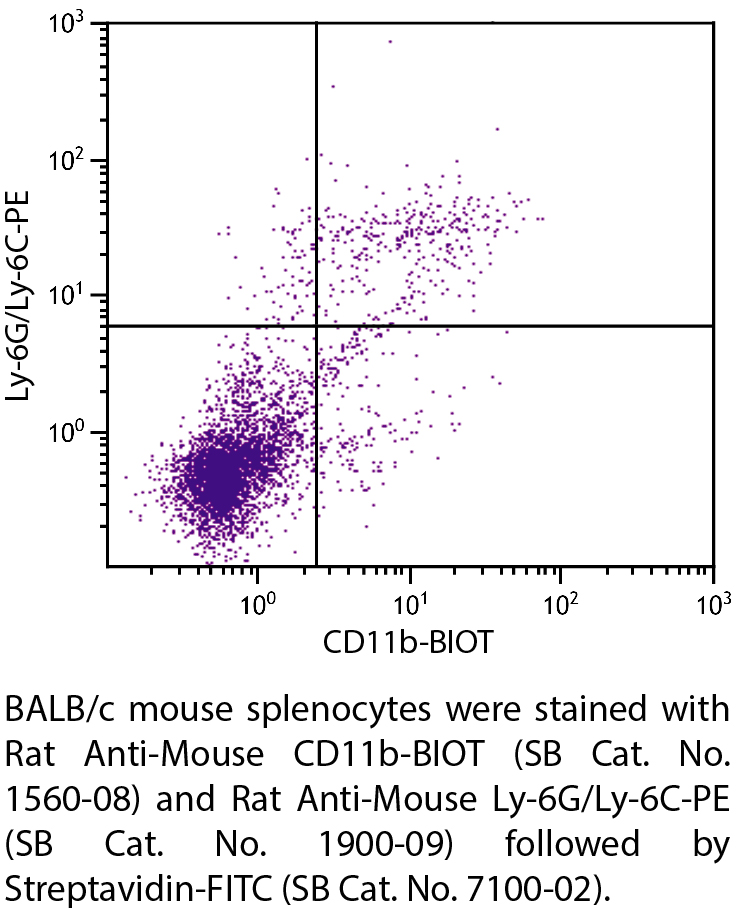 Rat Anti-Mouse CD11b-BIOT - 0.5 mg