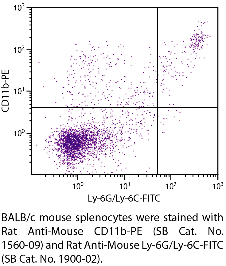 Rat Anti-Mouse CD11b-PE - 0.1 mg