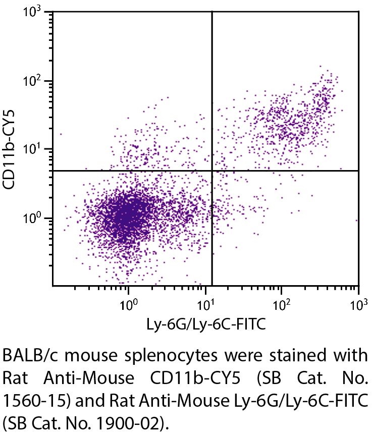 Rat Anti-Mouse CD11b-CY5 - 0.1 mg