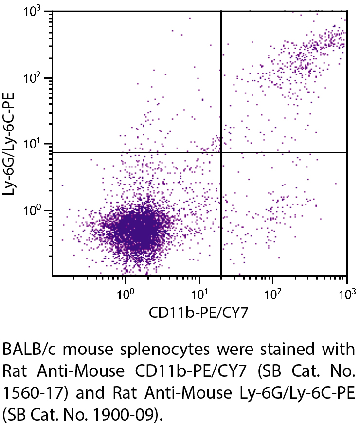 Rat Anti-Mouse CD11b-PE/CY7 - 0.1 mg