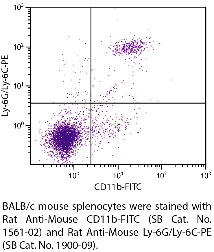 Rat Anti-Mouse CD11b-FITC - 0.5 mg