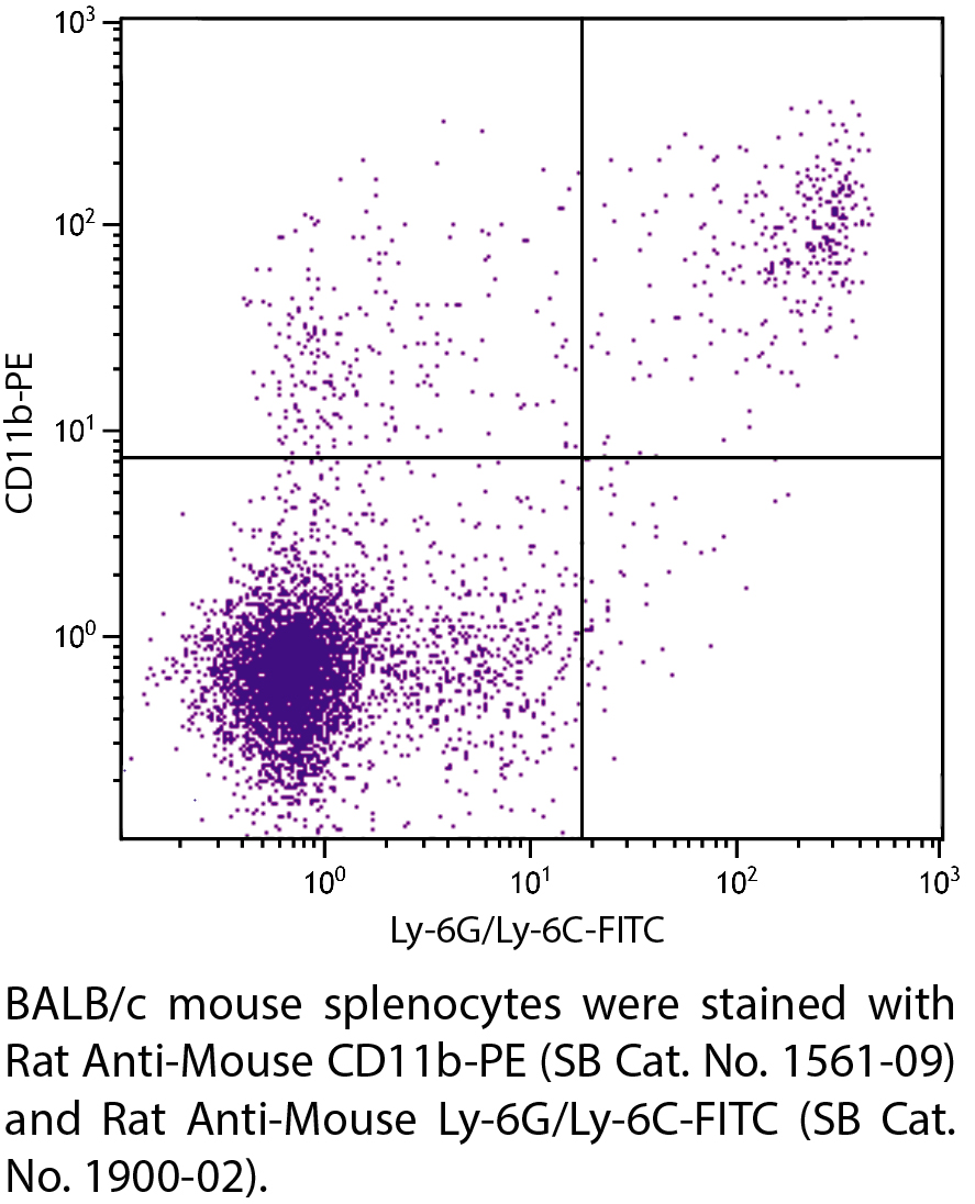 Rat Anti-Mouse CD11b-PE - 0.1 mg