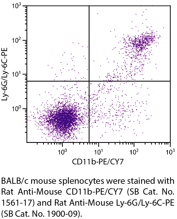 Rat Anti-Mouse CD11b-PE/CY7 - 0.1 mg