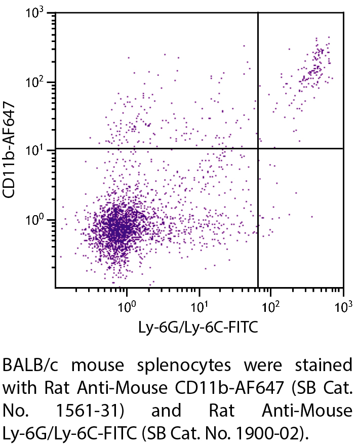 Rat Anti-Mouse CD11b-AF647 - 0.1 mg