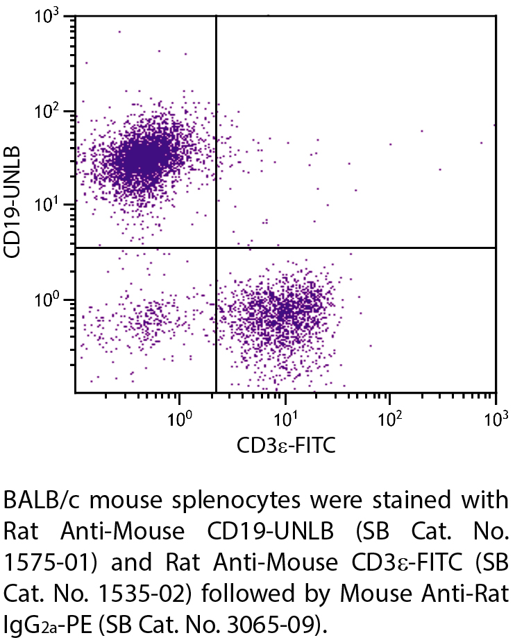 Rat Anti-Mouse CD19-UNLB - 0.5 mg