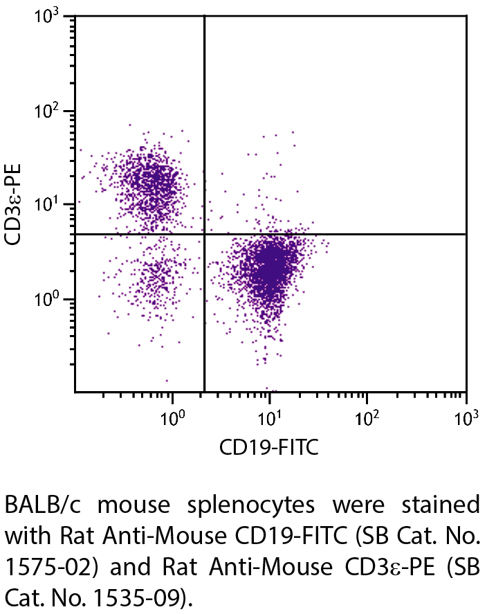 Rat Anti-Mouse CD19-FITC - 0.5 mg