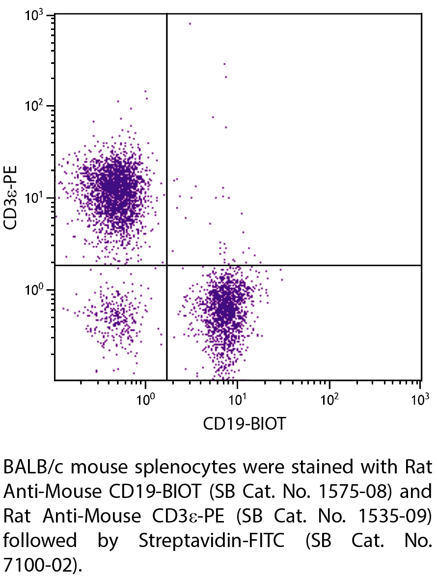 Rat Anti-Mouse CD19-BIOT - 0.5 mg