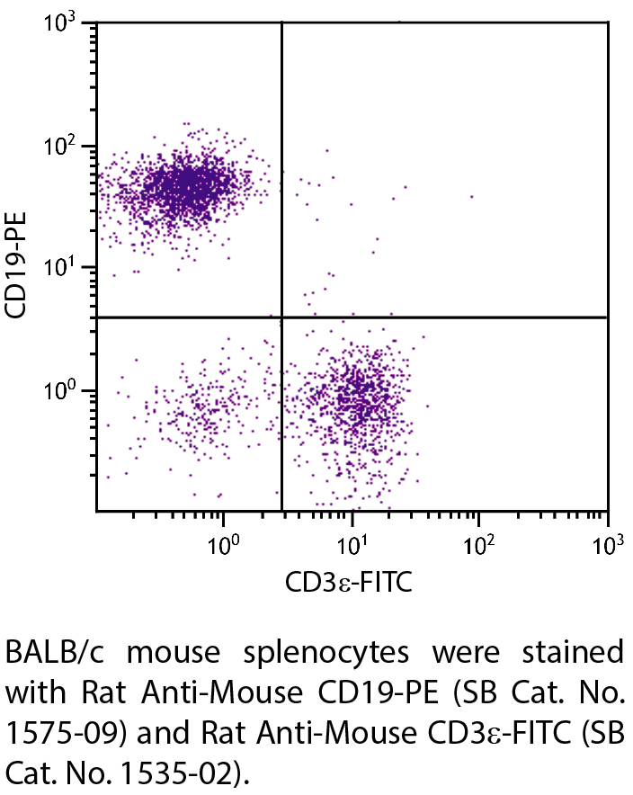 Rat Anti-Mouse CD19-PE - 0.1 mg