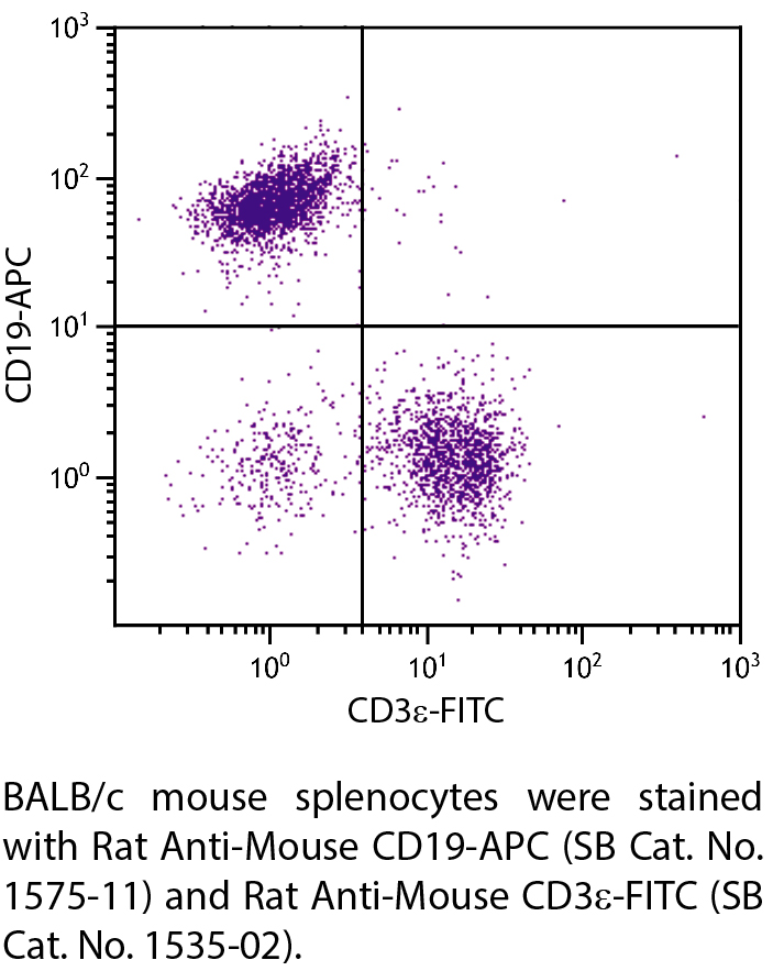 Rat Anti-Mouse CD19-APC - 0.1 mg