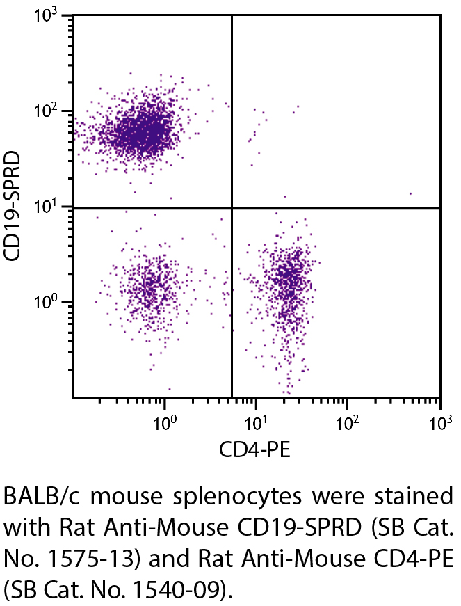 Rat Anti-Mouse CD19-SPRD - 0.1 mg