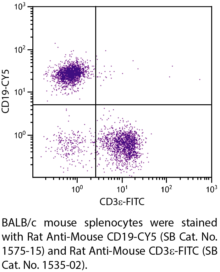 Rat Anti-Mouse CD19-CY5 - 0.1 mg