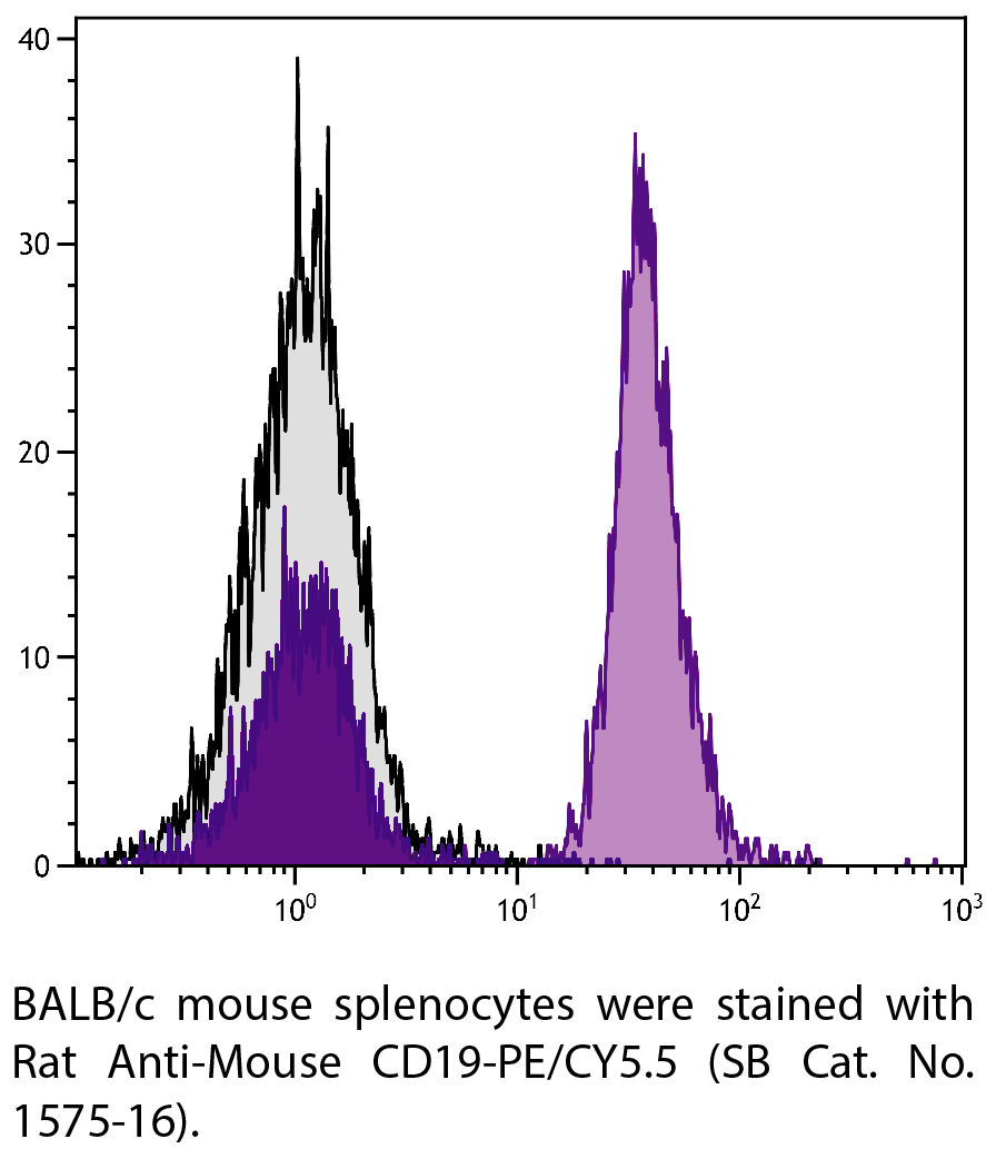 Rat Anti-Mouse CD19-PE/CY5.5 - 0.1 mg