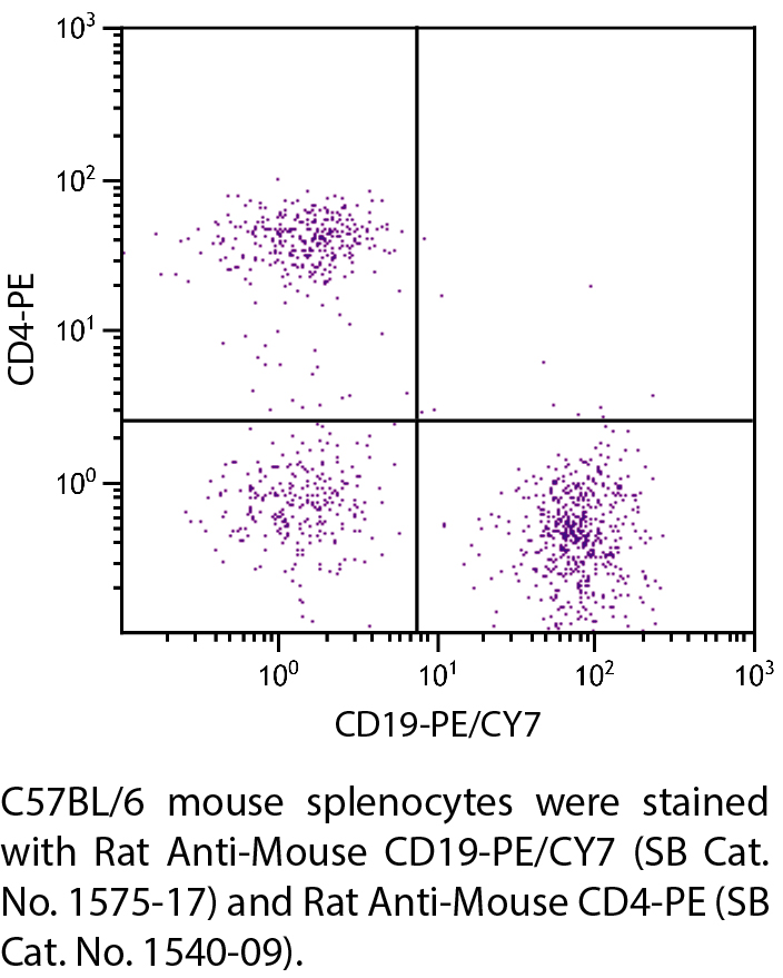 Rat Anti-Mouse CD19-PE/CY7 - 0.1 mg