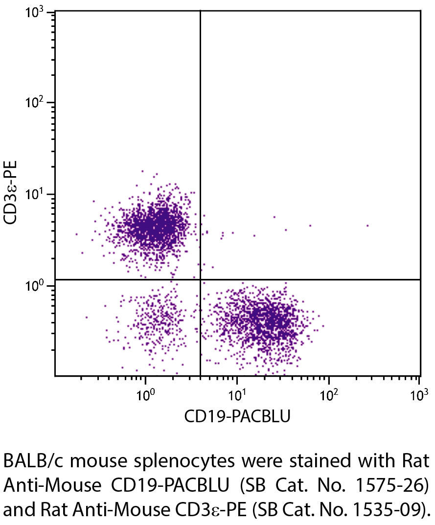 Rat Anti-Mouse CD19-PACBLU - 0.1 mg