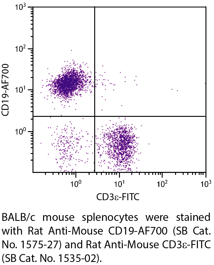Rat Anti-Mouse CD19-AF700 - 0.1 mg