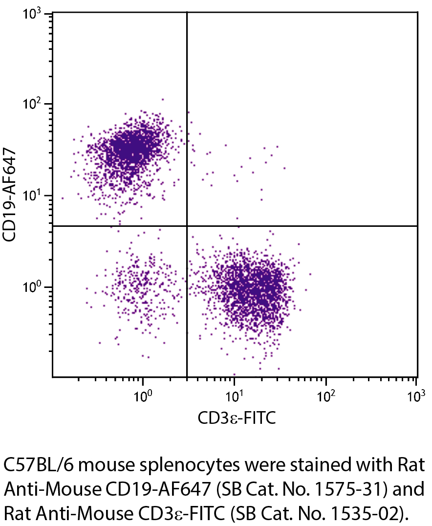 Rat Anti-Mouse CD19-AF647 - 0.1 mg