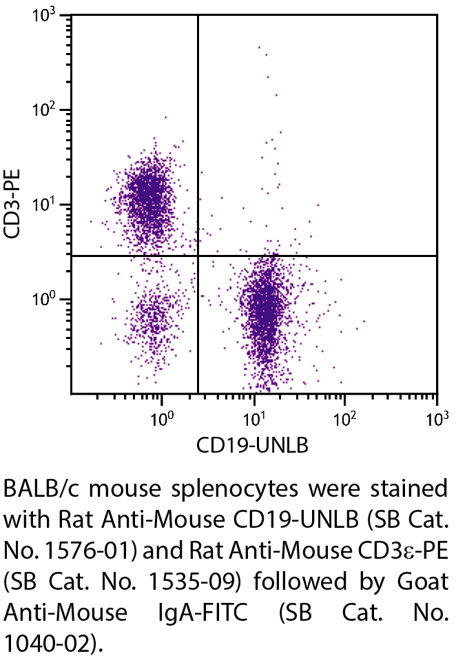 Mouse Anti-Mouse CD19-UNLB - 0.5 mg