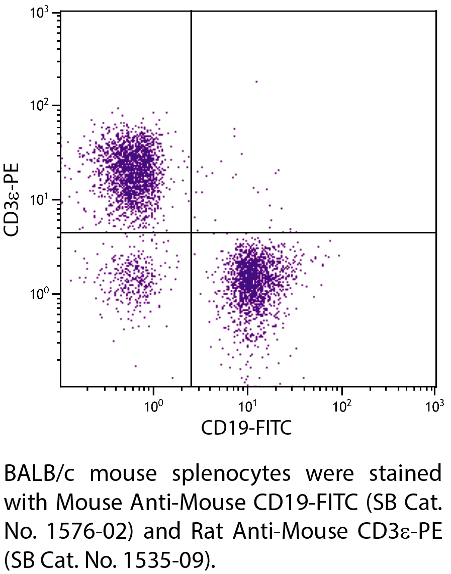 Mouse Anti-Mouse CD19-FITC - 0.5 mg