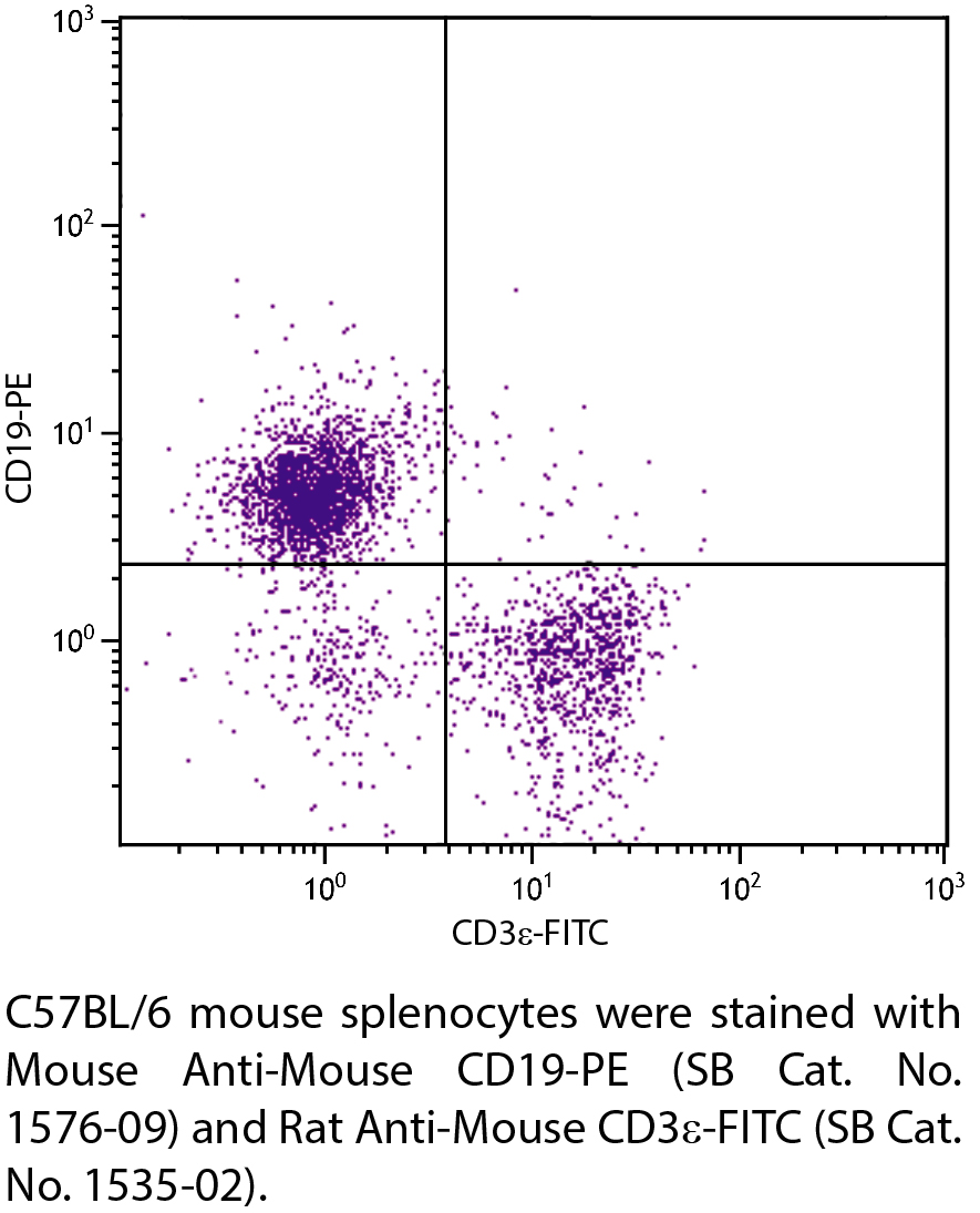 Mouse Anti-Mouse CD19-PE - 0.1 mg