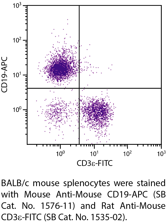 Mouse Anti-Mouse CD19-APC - 0.1 mg