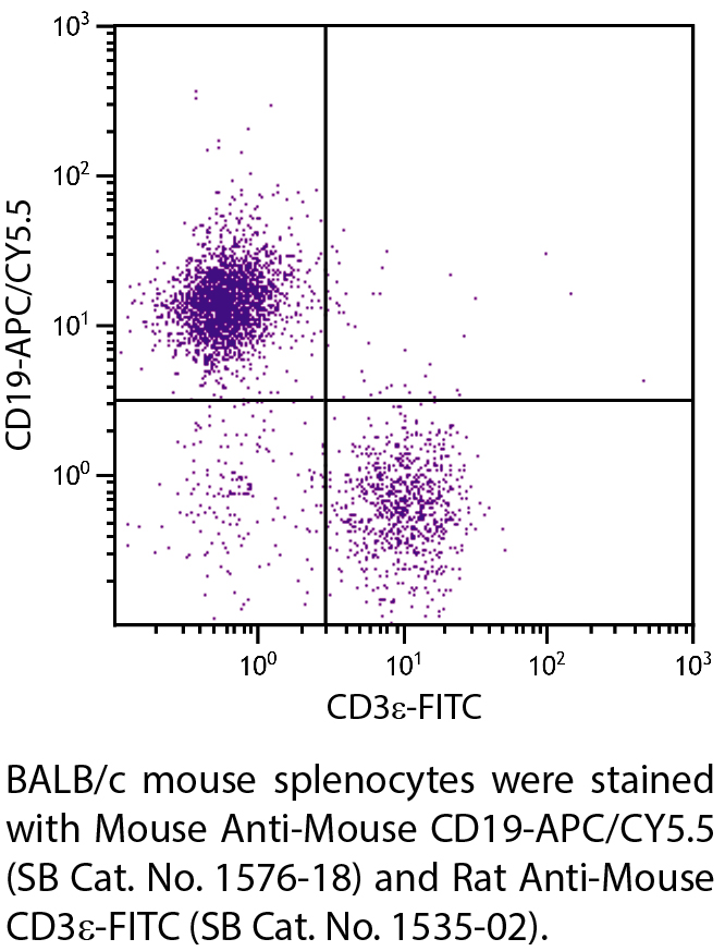 Mouse Anti-Mouse CD19-APC/CY5.5 - 0.1 mg