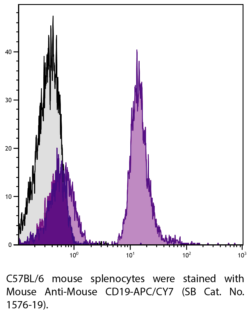 Mouse Anti-Mouse CD19-APC/CY7 - 0.1 mg