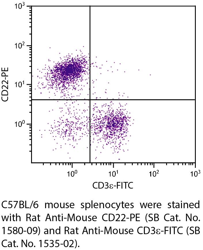 Rat Anti-Mouse CD22-PE - 0.1 mg