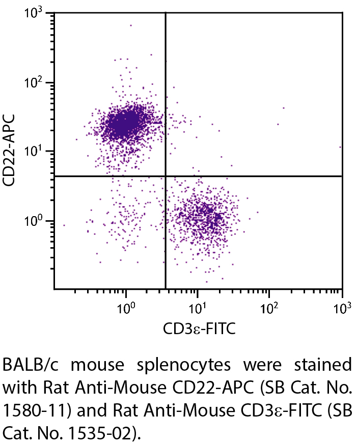 Rat Anti-Mouse CD22-APC - 0.1 mg