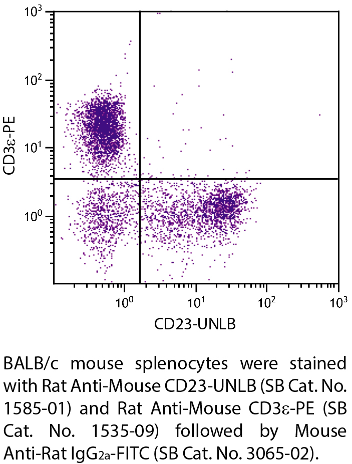 Rat Anti-Mouse CD23-UNLB - 0.5 mg