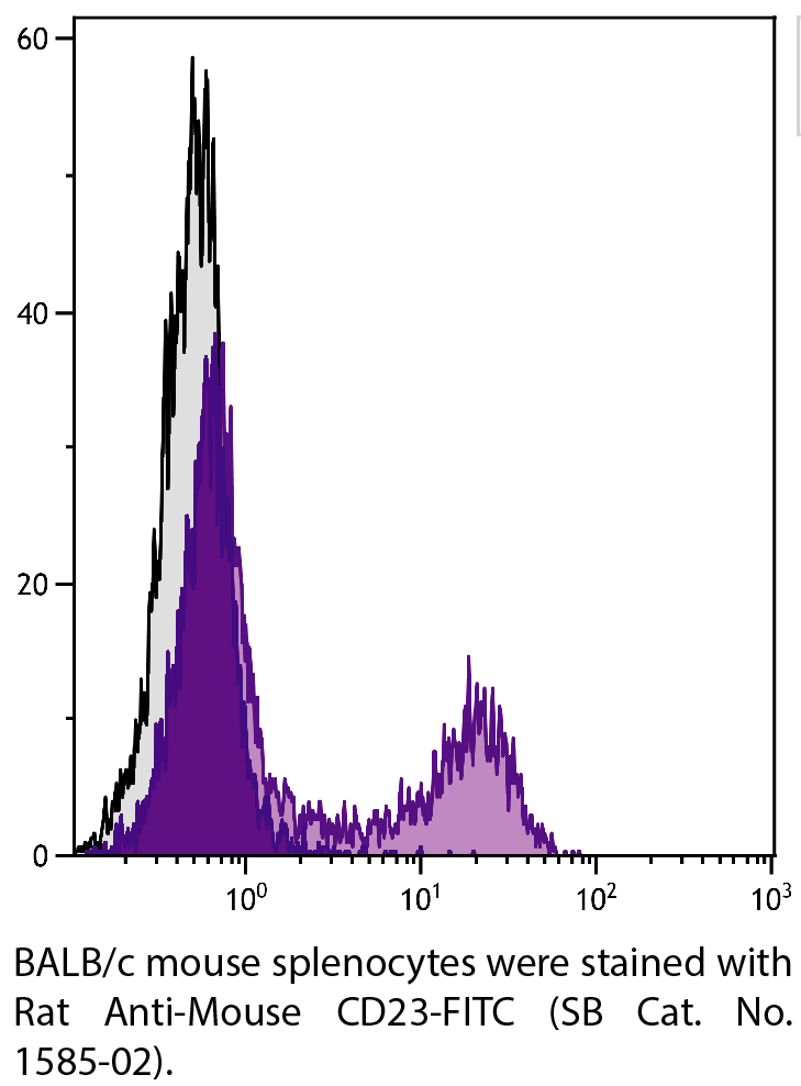 Rat Anti-Mouse CD23-FITC - 0.5 mg