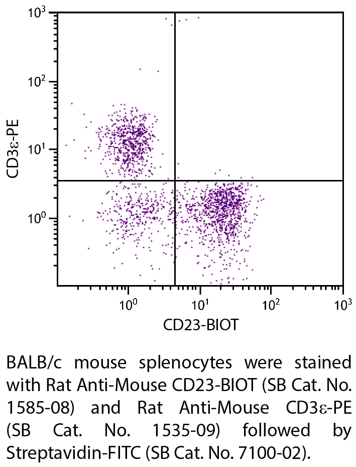 Rat Anti-Mouse CD23-BIOT - 0.5 mg