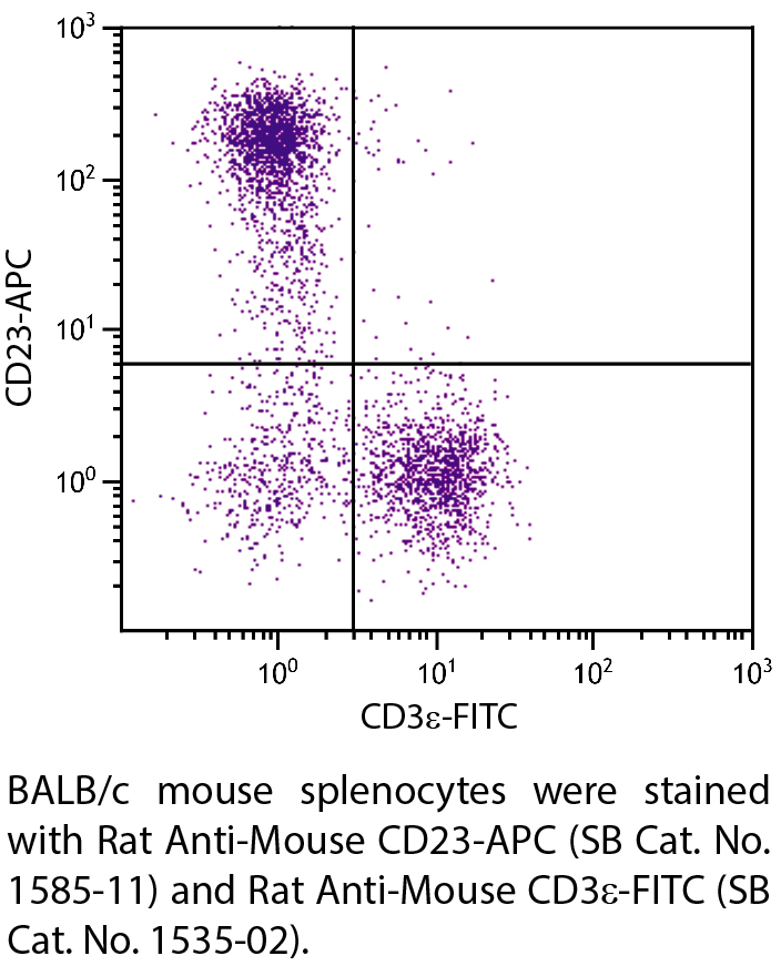 Rat Anti-Mouse CD23-APC - 0.1 mg