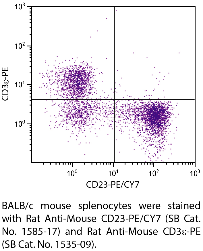 Rat Anti-Mouse CD23-PE/CY7 - 0.1 mg