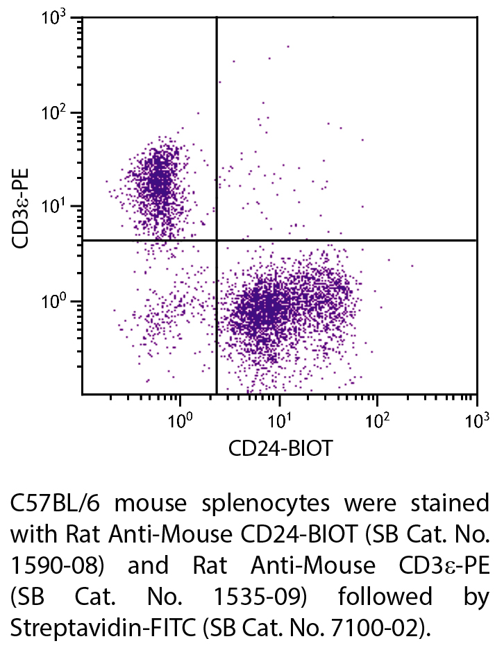 Rat Anti-Mouse CD24-BIOT - 0.5 mg