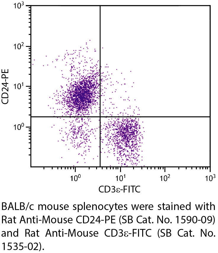 Rat Anti-Mouse CD24-PE - 0.1 mg