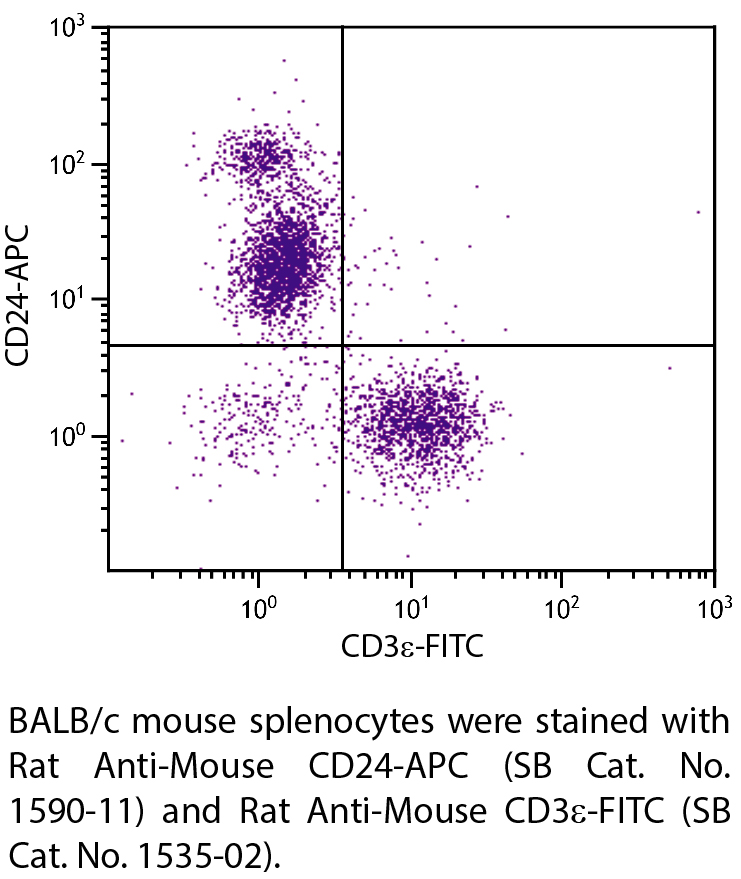 Rat Anti-Mouse CD24-APC - 0.1 mg