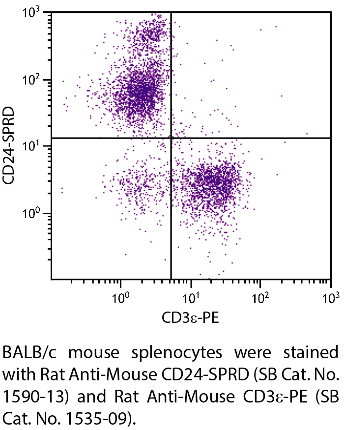 Rat Anti-Mouse CD24-SPRD - 0.1 mg