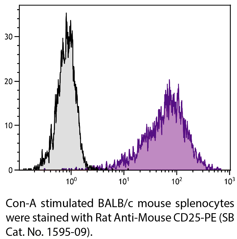 Rat Anti-Mouse CD25-PE - 0.1 mg