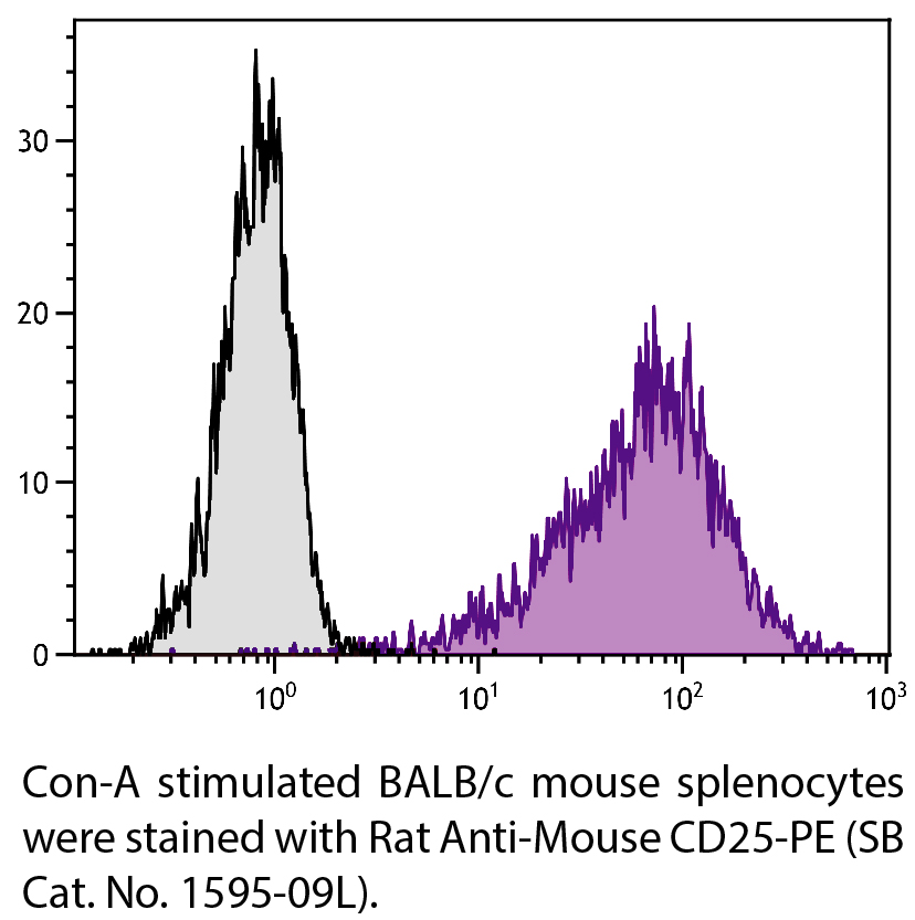 Rat Anti-Mouse CD25-PE - 0.2 mg