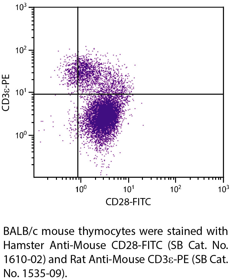 Hamster Anti-Mouse CD28-FITC - 0.5 mg