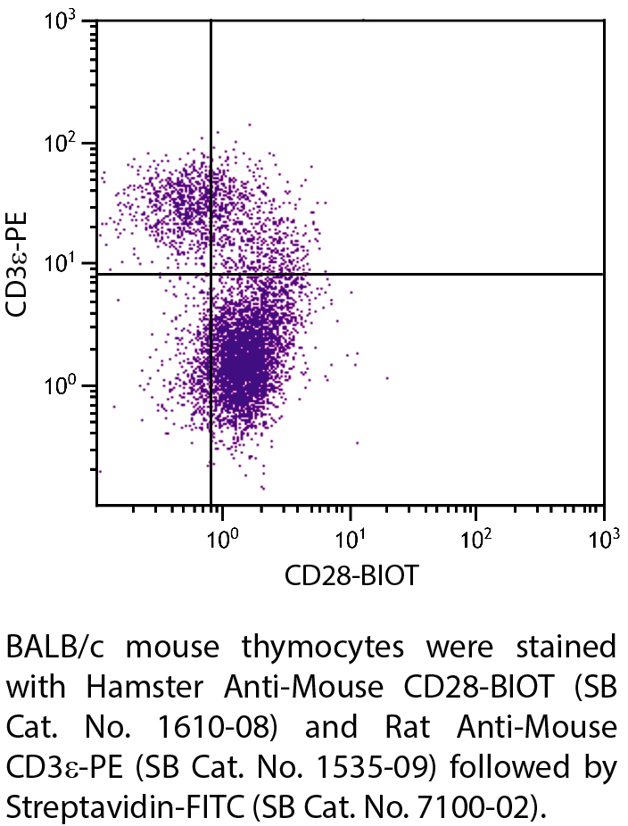 Hamster Anti-Mouse CD28-BIOT - 0.5 mg