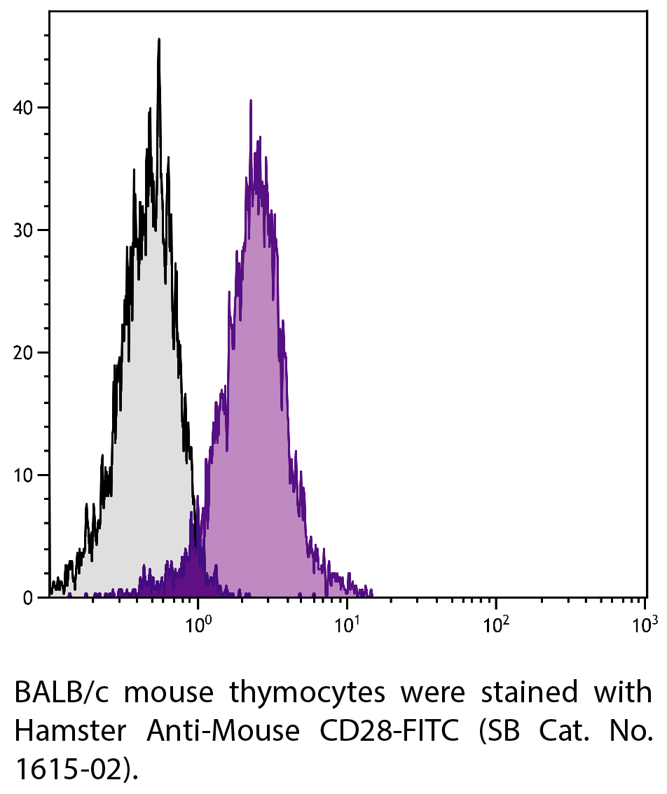 Hamster Anti-Mouse CD28-FITC - 0.5 mg