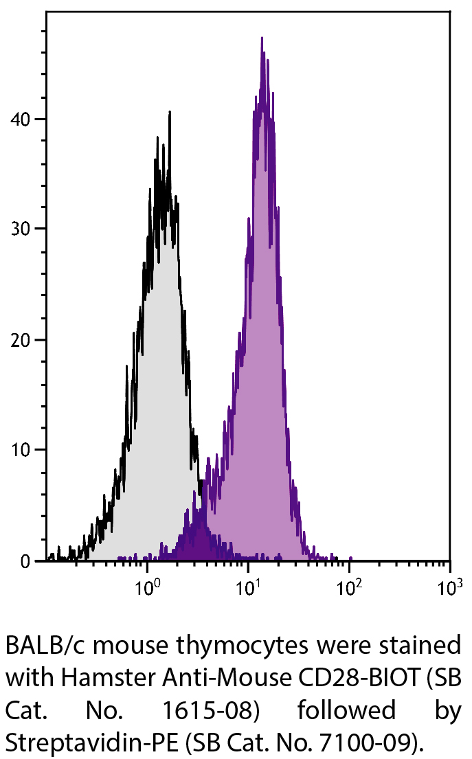 Hamster Anti-Mouse CD28-BIOT - 0.5 mg