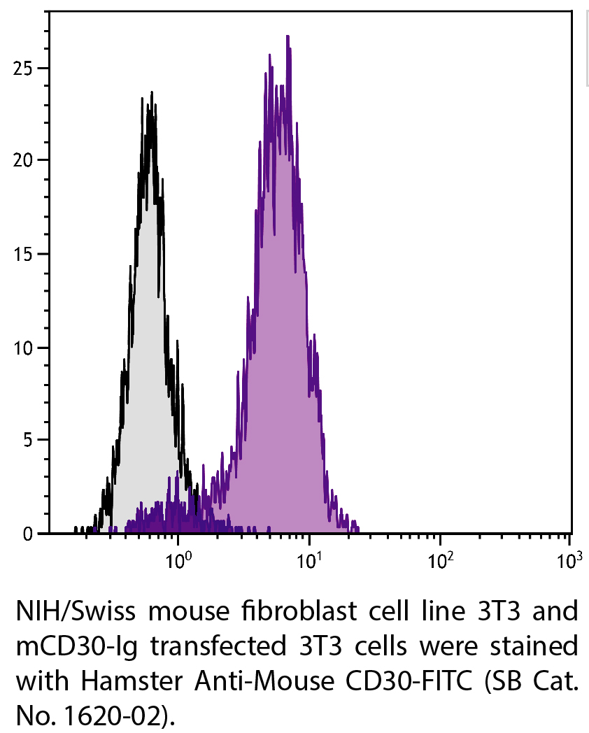 Hamster Anti-Mouse CD30-FITC - 0.5 mg