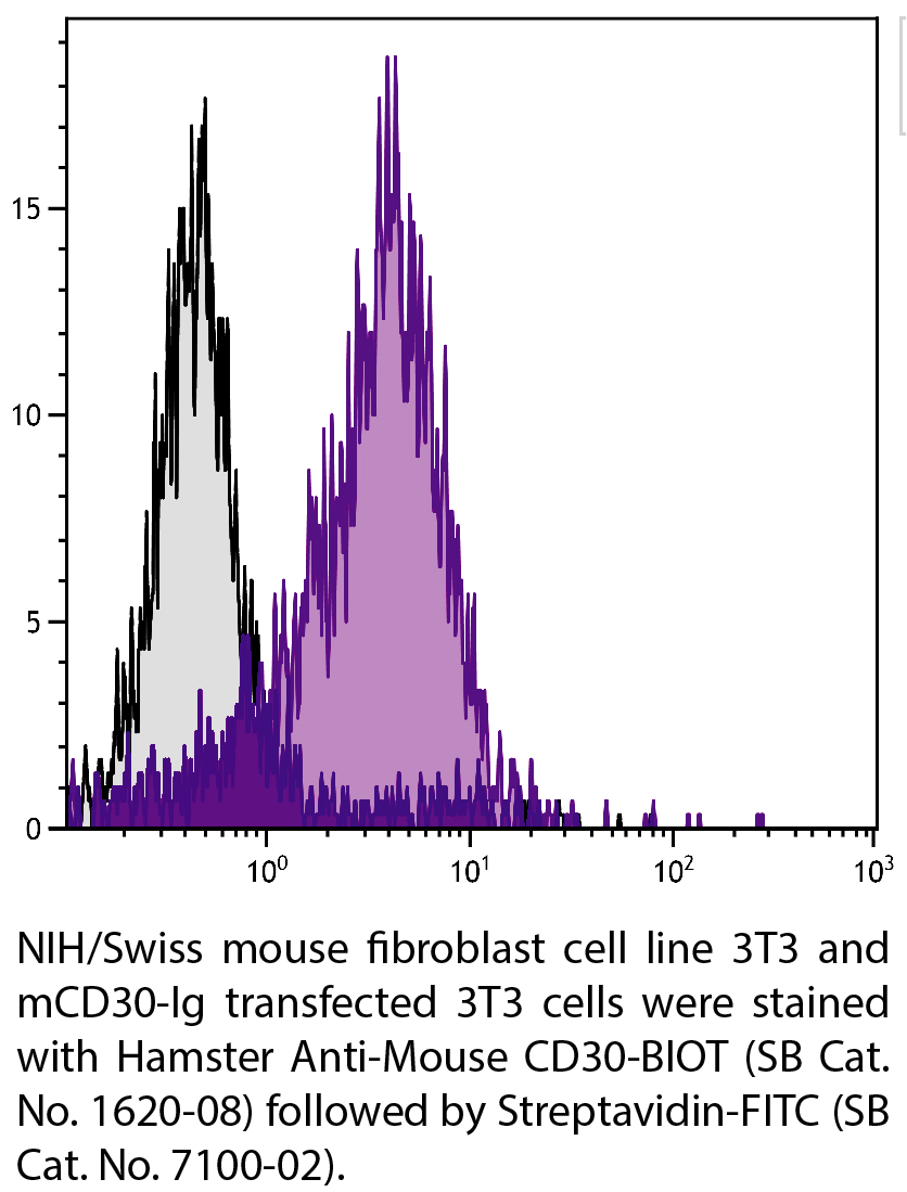 Hamster Anti-Mouse CD30-BIOT - 0.5 mg