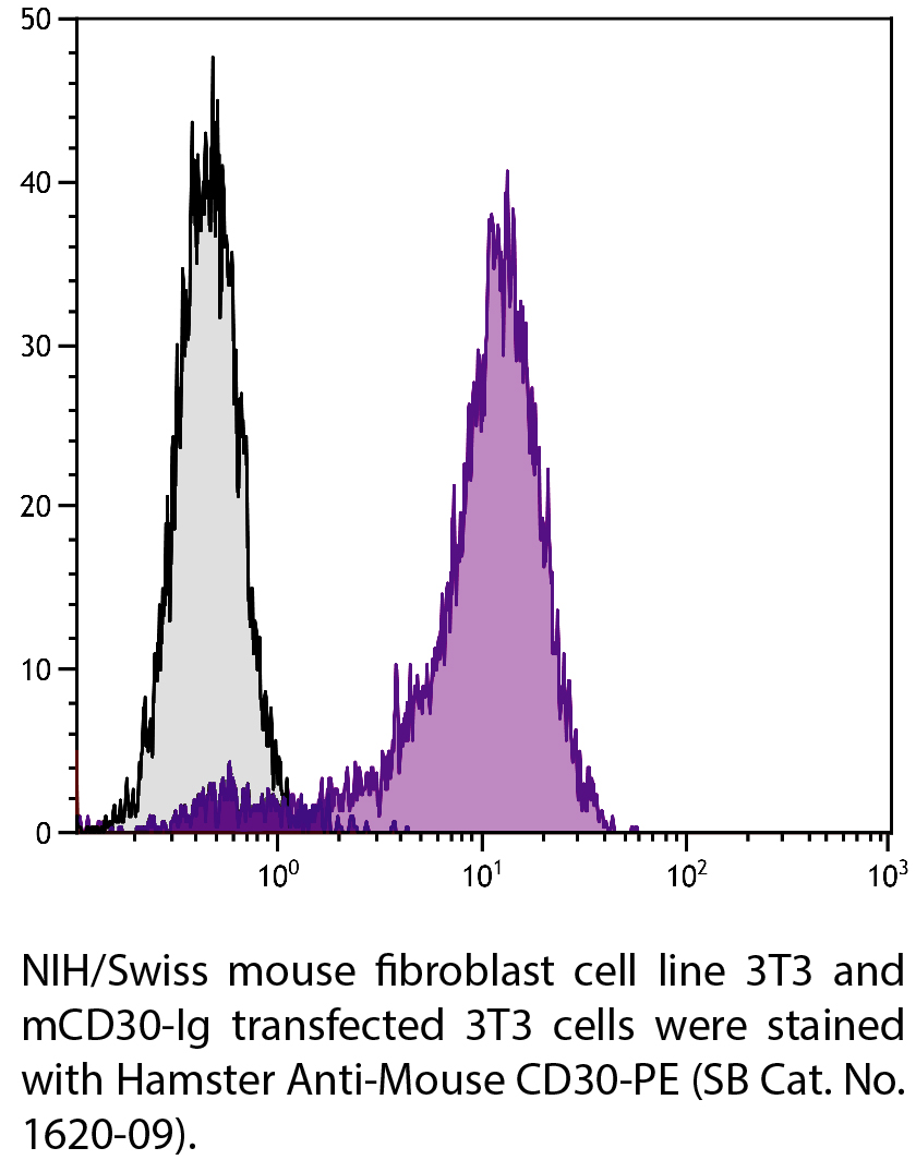 Hamster Anti-Mouse CD30-PE - 0.1 mg