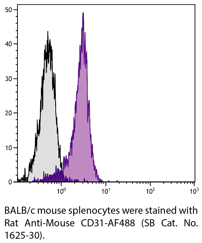 Rat Anti-Mouse CD31-AF488 - 0.1 mg