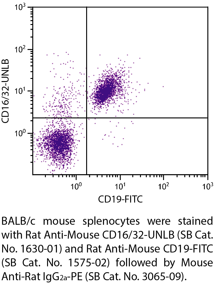 Rat Anti-Mouse CD16/32-UNLB - 0.5 mg